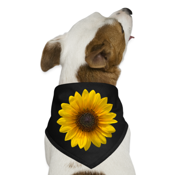 Sunflower Dog Bandana