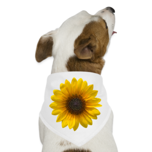 Sunflower Dog Bandana